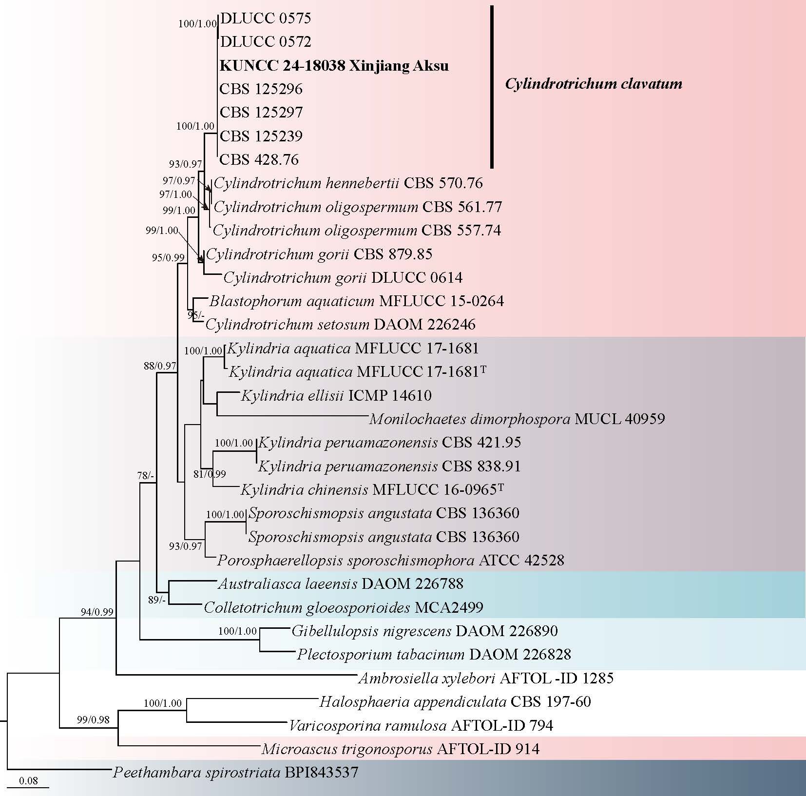Figure 33